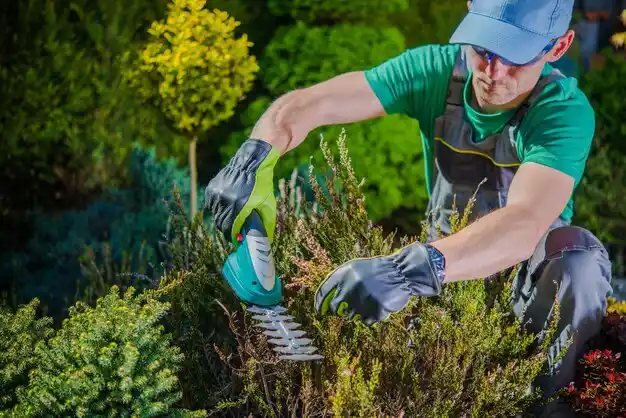 landscaping services Centralia